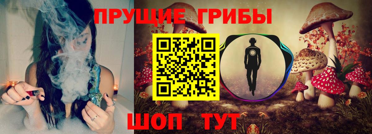 Псилоцибиновые грибы MAGIC MUSHROOMS  Вход с VPN  Великий Новгород  Галлюциногенные грибы Magic Shrooms 