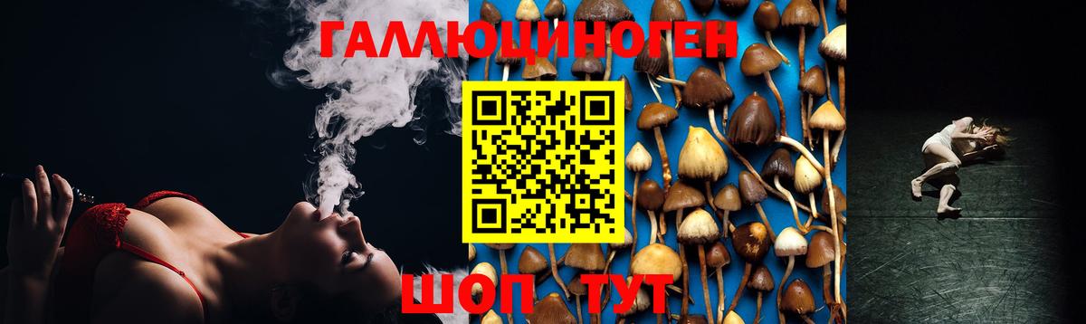 Великий Новгород  Вход с VPN  MDMA  Гашиш  Бошки Шишки  Меф   Cocaine 